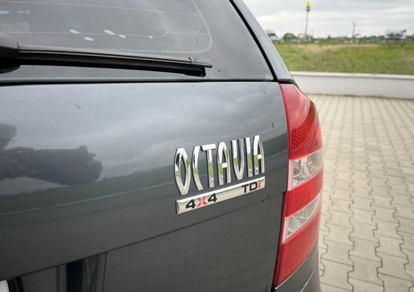 Skoda Octavia cena 19999 przebieg: 283000, rok produkcji 2007 z Augustów małe 704